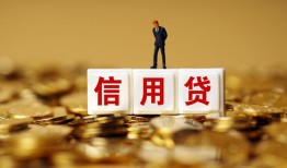 成都23哪有个人借贷-成都23小额贷款公司-成都23私借空放免费上门