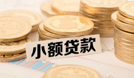 成都23身份证贷款平台-成都23私人借贷不查征信-成都23空放借钱